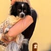 Milky - Zuhause gesucht