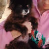 Teddy...Nerina