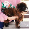 Teddy...Nerina