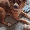 💕Elara 💕 sucht ihre Familie