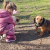 Bea - eine wundervolle, sensible Hündin