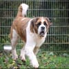 Oskar und Mia suchen ein Zuhause