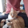 Porthos - Charmeur auf 4 Pfoten