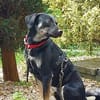 Zicco; Seelchen in Not