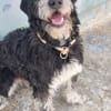 Timoteo sucht seine Menschen