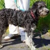 Timoteo sucht seine Menschen
