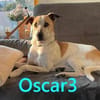 Oscar  NOTFALL