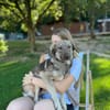 ARTUR, Mix, geb. 09/2024