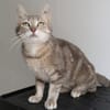 BETTY (réservée)