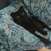 JAMMAH A ADOPTER AVEC UN CHAT DEJA PRÉSENT CHEZ VOUS