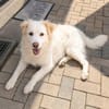 April sucht passendes Zuhause