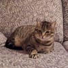 Einzelprinzessin Flia sucht ihre Familie