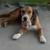 Witziger Tim sucht liebe Familie