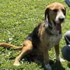 Witziger Tim sucht liebe Familie