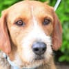 Witziger Tim sucht liebe Familie