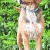 Witziger Tim sucht liebe Familie