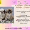 Shirley & Sweety  lustiges Mädchenduo