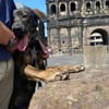 Bruno - der liebevolle Beschützer