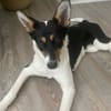 Simona - wo darf ich Zuhause sein?