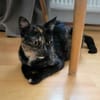 Mara & Maia Dreamteam sucht Familie