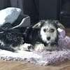 Sweety  in 59872 Meschede