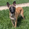 VALKA