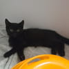 NERA