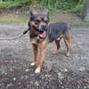 CYRIUS