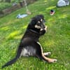 Ilvy sucht ihre Menschen