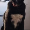 Seniorin Coco möchte endlich ankommen