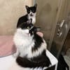 Mika & Soul ~1J suchen Zuhause zusammen