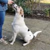 Kuschelbär Quinny sucht seine Familie