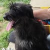 Wally, kl. zauberhaftes Strubbel-Mädel