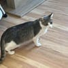 Darko 11 Monate m sucht seinen Balkon