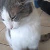 Odin m~1J such liebevolles zuhause