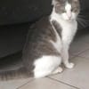 Odin m~1J such liebevolles zuhause