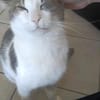 Odin m~1J such liebevolles zuhause