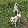 Rieke sucht ihre Familie
