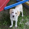 Rieke sucht ihre Familie