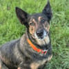BEAUTE PAA24135