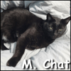 M. Chat