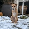 Aurelia hat es mehr als verdient!
