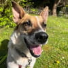 Malibu ist ein zartes Seelchen 🐾