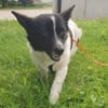 HOSHI sucht ihre Familie