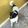 HOSHI sucht ihre Familie