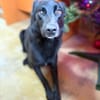 Oliver - stiller Schatten sucht Dich