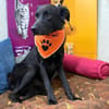 Oliver - stiller Schatten sucht Dich