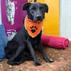 Oliver - stiller Schatten sucht Dich
