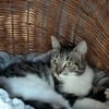 Connor sucht einen Kumpel zum Toben
