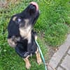 Nina kleine Kämpferin sucht ihr Glück I